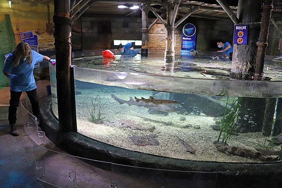 letzte Reinigung 2 Tage vor dem Re-Opening nach Winter Lockdown SEA LIFE München (©Foto. Martin Schmitz)